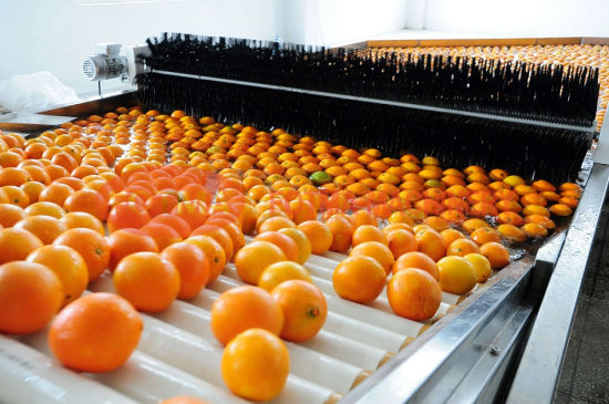 Fruits Import from Pakistan