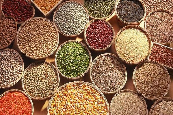 Grains Import from Pakistan