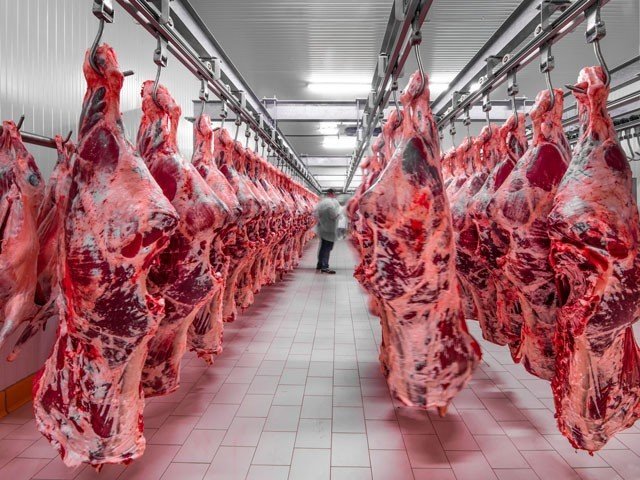 Meat Import from Pakistan