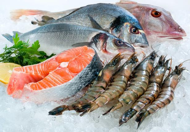Seafood Import from Pakistan